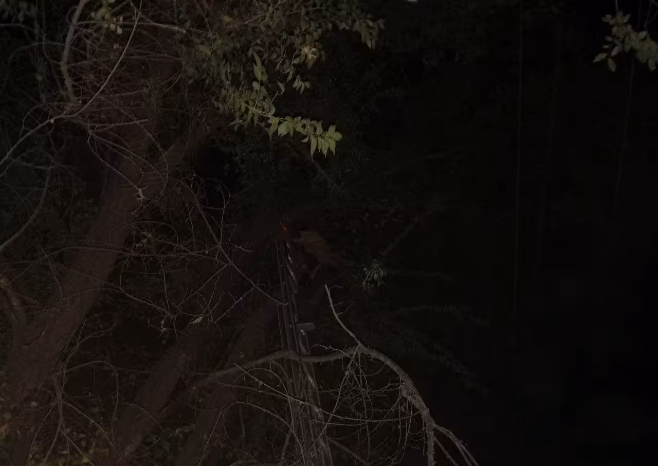 Foto: Energetika vazirligi matbuot xizmati